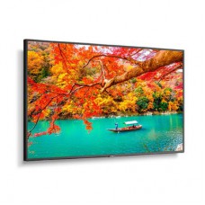 NEC MA551 49" Wide Color Gamut 4K UHD Professional Display/ 3840x2160 / 500 cd/m2/ 24/7, 3Yr warranty