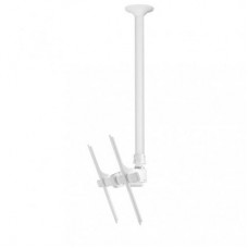 Atdec Telehook 30-70 Ceiling Mount Tilt Long - White